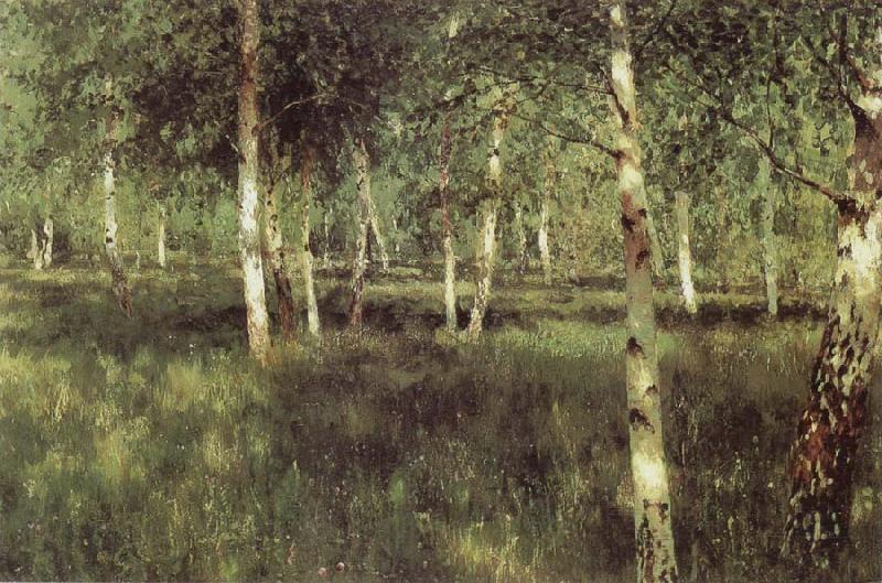 Isaac Levitan Birch Plantation Norge oil painting art